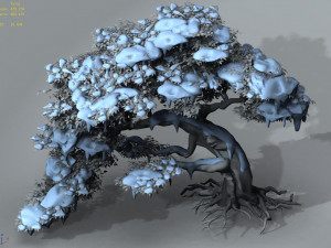 populus euphratica-poplar-special tree 210 3D Model