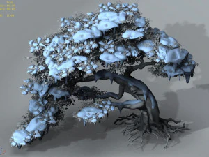 populus euphratica-poplar-special tree 210 3D Model