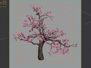 outdoor-nature-travel-peach blossom 12 Modello 3D