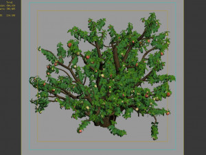 outdoor-nature-travel-peach blossom 13 3D Model