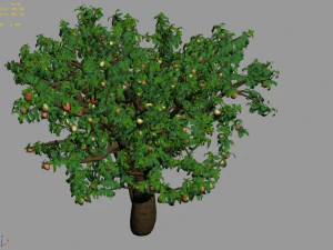 outdoor-nature-travel-peach blossom 14 3D Model