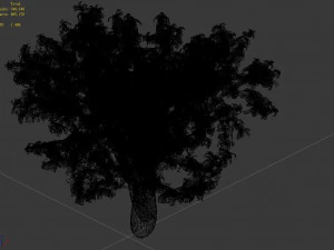 outdoor-nature-travel-peach blossom 14 3D Model