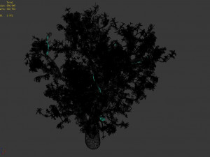 outdoor-nature-travel-peach blossom 15 3D Model