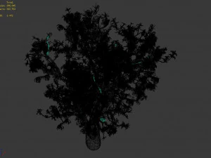 outdoor-nature-travel-peach blossom 15 3D Model