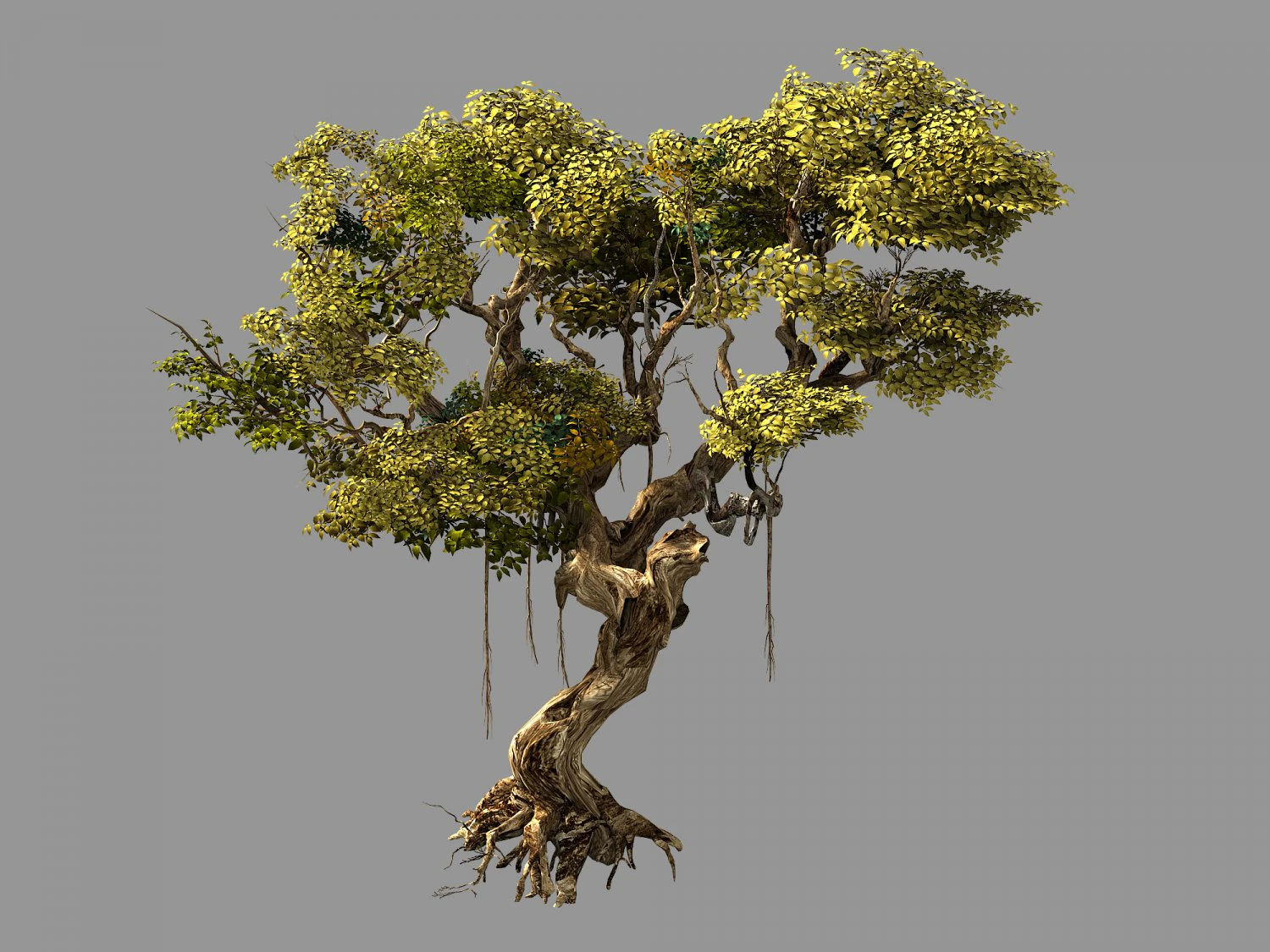 huaguoshan-tree 01 3D Model .c4d .max .obj .3ds .fbx .stl .blend