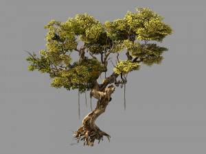 huaguoshan-tree 01 3D Model