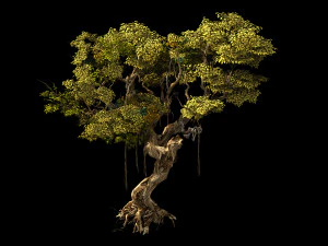 huaguoshan-tree 01 3D Model