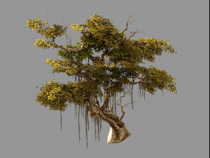 flower and fruit mountain-tree 02 3D Model