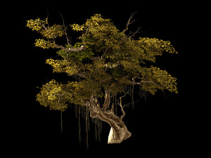 flower and fruit mountain-tree 02 3D Model