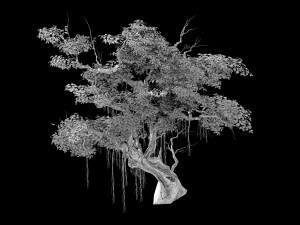flower and fruit mountain-tree 02 3D Model