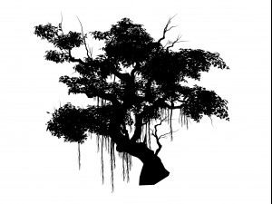 flower and fruit mountain-tree 02 3D Model