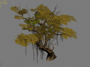 flower and fruit mountain-tree 02 3D Model