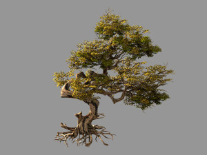 huaguoshan-tree 03 3D Model