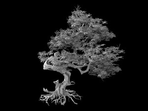 huaguoshan-tree 03 3D Model