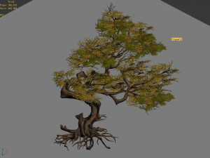 huaguoshan-tree 03 3D Model