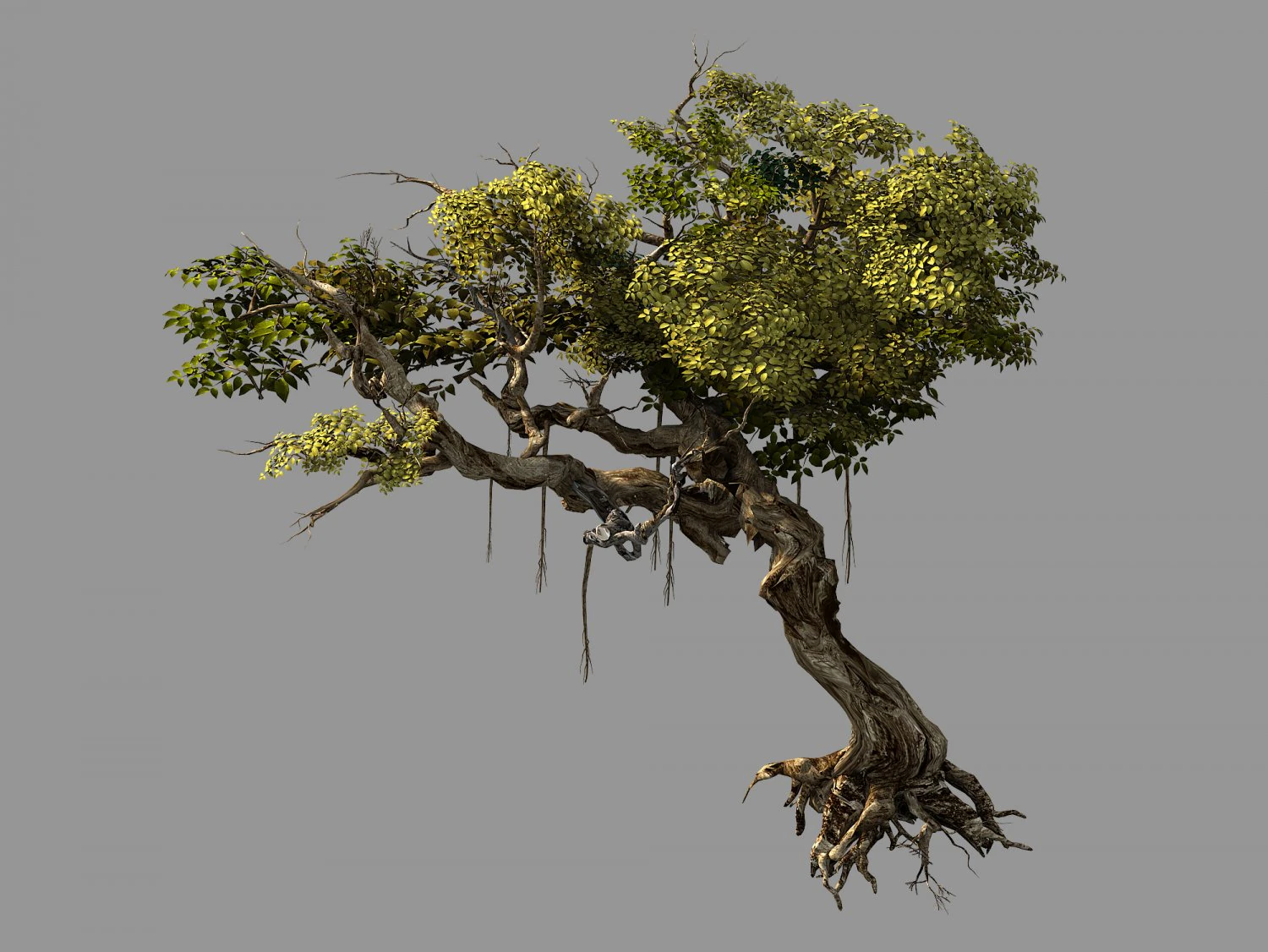 flower and fruit mountain-tree 04 3D Model .c4d .max .obj .3ds .fbx .stl .blend 