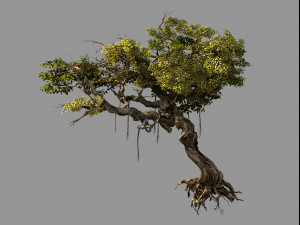 flower and fruit mountain-tree 04 Modelo 3D