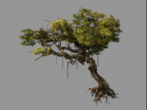 fiori e frutti albero di montagna 04 Modello 3D