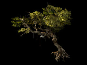 flower and fruit mountain-tree 04 3D Model