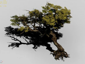 flower and fruit mountain-tree 04 3D Model