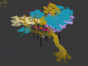 flower and fruit mountain-tree 04 3D Model