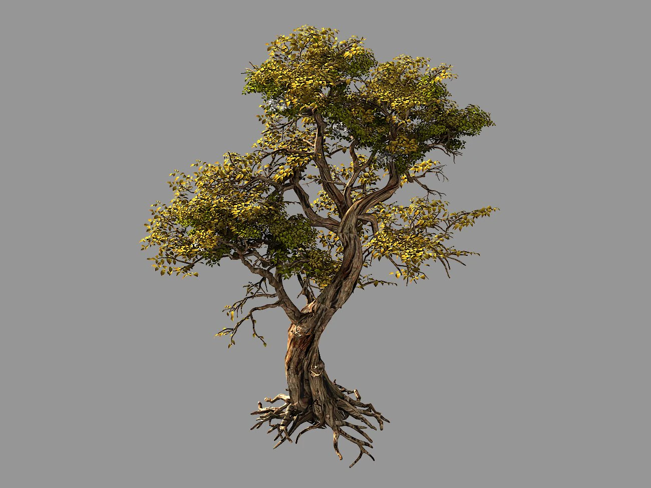 flower and fruit mountain-tree 05 3D Model .c4d .max .obj .3ds .fbx .stl .blend