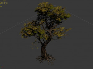 flower and fruit mountain-tree 05 3D Model