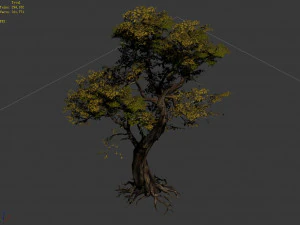 flower and fruit mountain-tree 05 3D Model