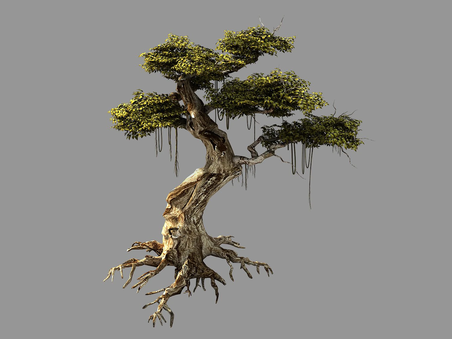 huaguoshan-tree 06 3D Model .c4d .max .obj .3ds .fbx .stl .blend 