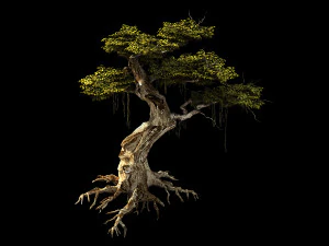 huaguoshan-tree 06 3D Model