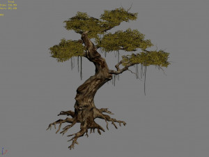 huaguoshan-tree 06 3D Model