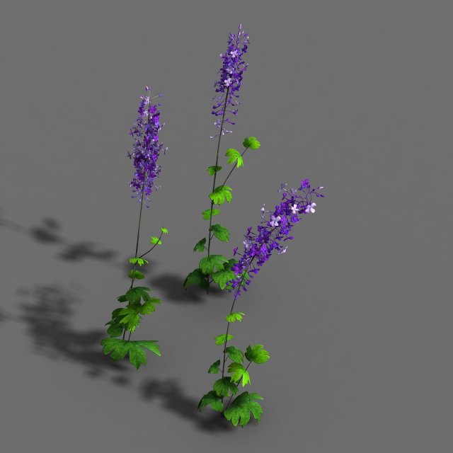 flower-plant-special 3 3D 模型 .c4d .max .obj .3ds .fbx .stl .blend 