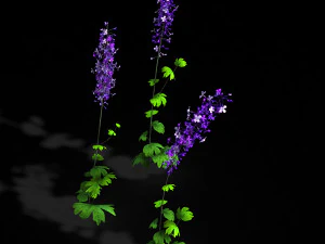 flower-plant-special 3 3D Model