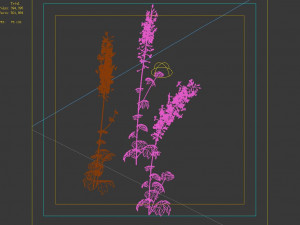 flower-plant-special 3 3D 模型