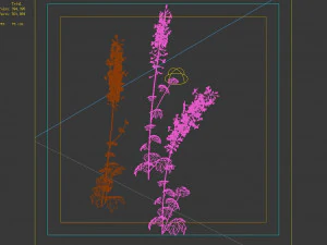 flower-plant-special 3 3D Model