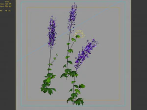 flower-plant-special 3 3D Model