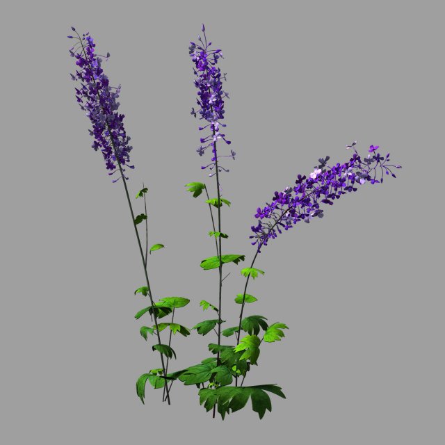 flower-plant-special 32 3D Модель .c4d .max .obj .3ds .fbx .stl .blend 