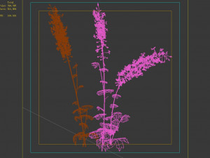 flower-plant-special 32 3D Модель