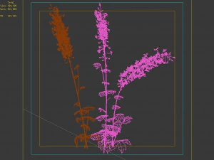 flower-plant-special 32 3D Model