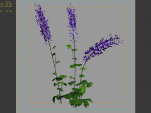 flower-plant-special 32 3D Модель