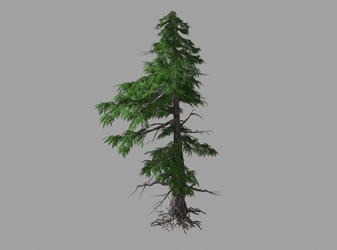 landscape-season-pine tree 01 3D Model .c4d .max .obj .3ds .fbx .stl .blend