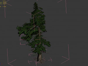 landscape-season-pine tree 01 3D Model