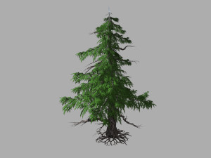 landscape-season-pine tree 02 3D Model