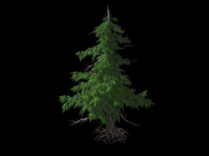 landscape-season-pine tree 02 Model 3D