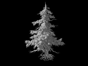 landscape-season-pine tree 02 Model 3D