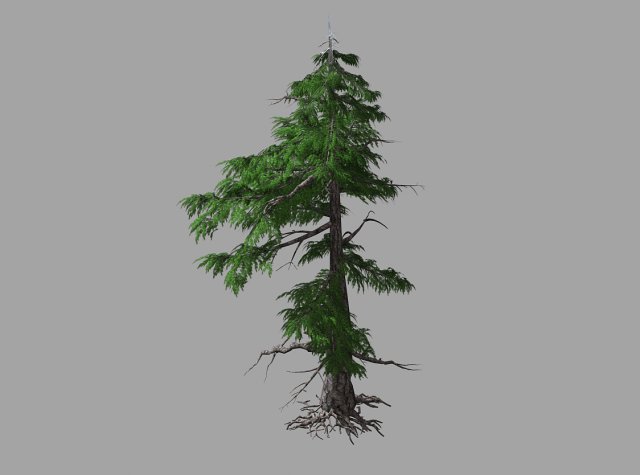 landscape-season-pine tree 03 Modelo 3D .c4d .max .obj .3ds .fbx .stl .blend 