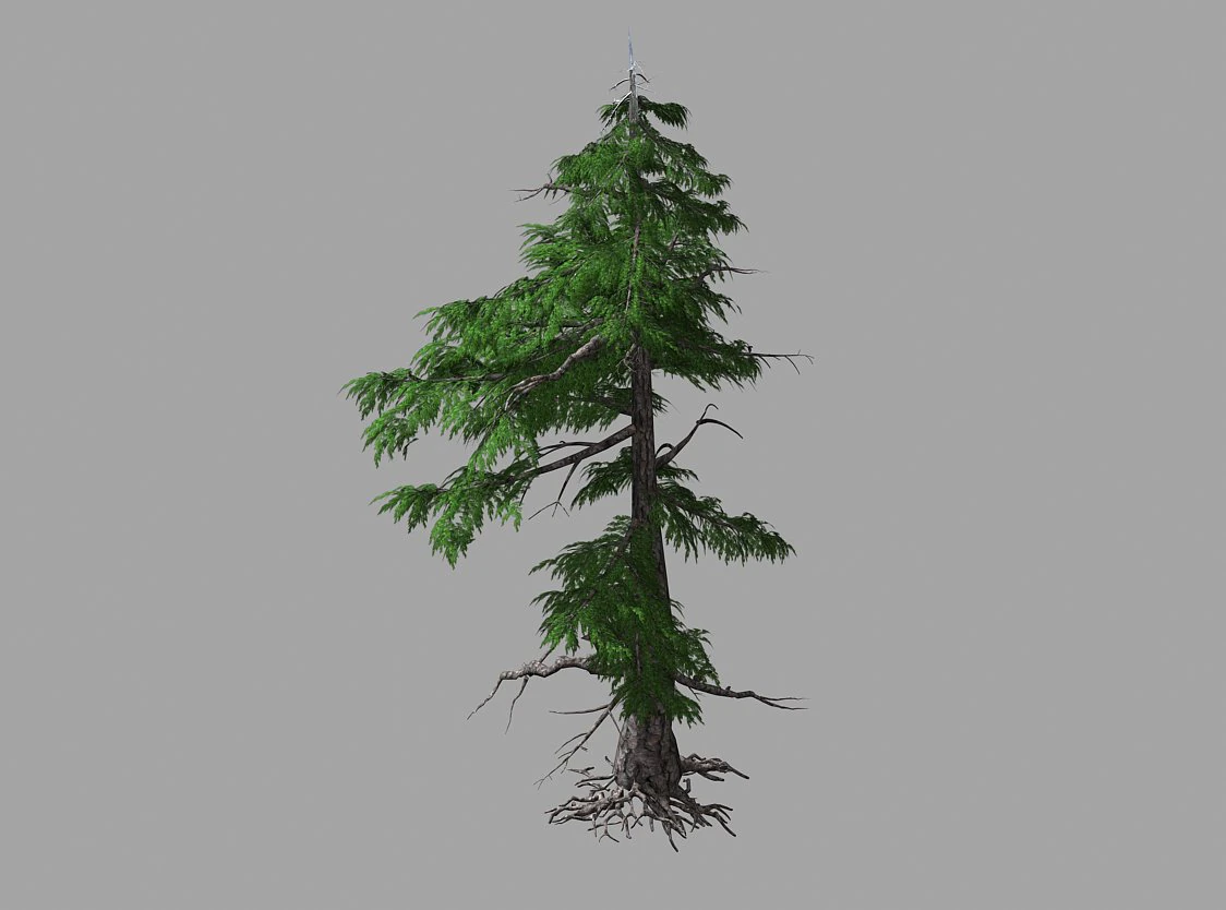landscape-season-pine tree 03 3D Model .c4d .max .obj .3ds .fbx .stl .blend