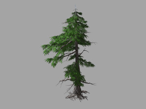 landscape-season-pine tree 03 3D Модель