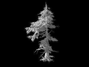 landscape-season-pine tree 03 3D Model