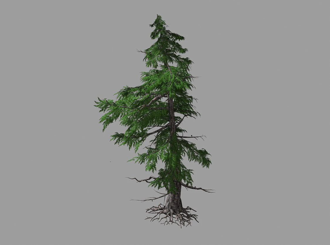 landscape-season-pine tree 04 3D Model .c4d .max .obj .3ds .fbx .stl .blend 